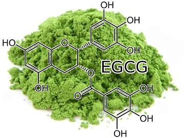 Green tea is high in EGCG