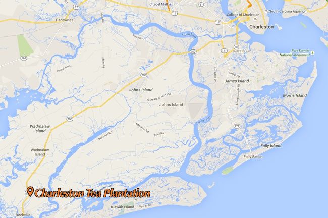 Charleston Tea Plantation Map
