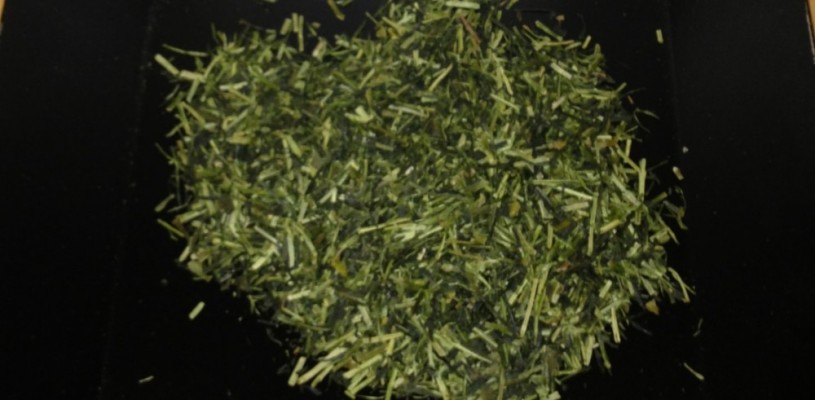 Kukicha – green tea stems