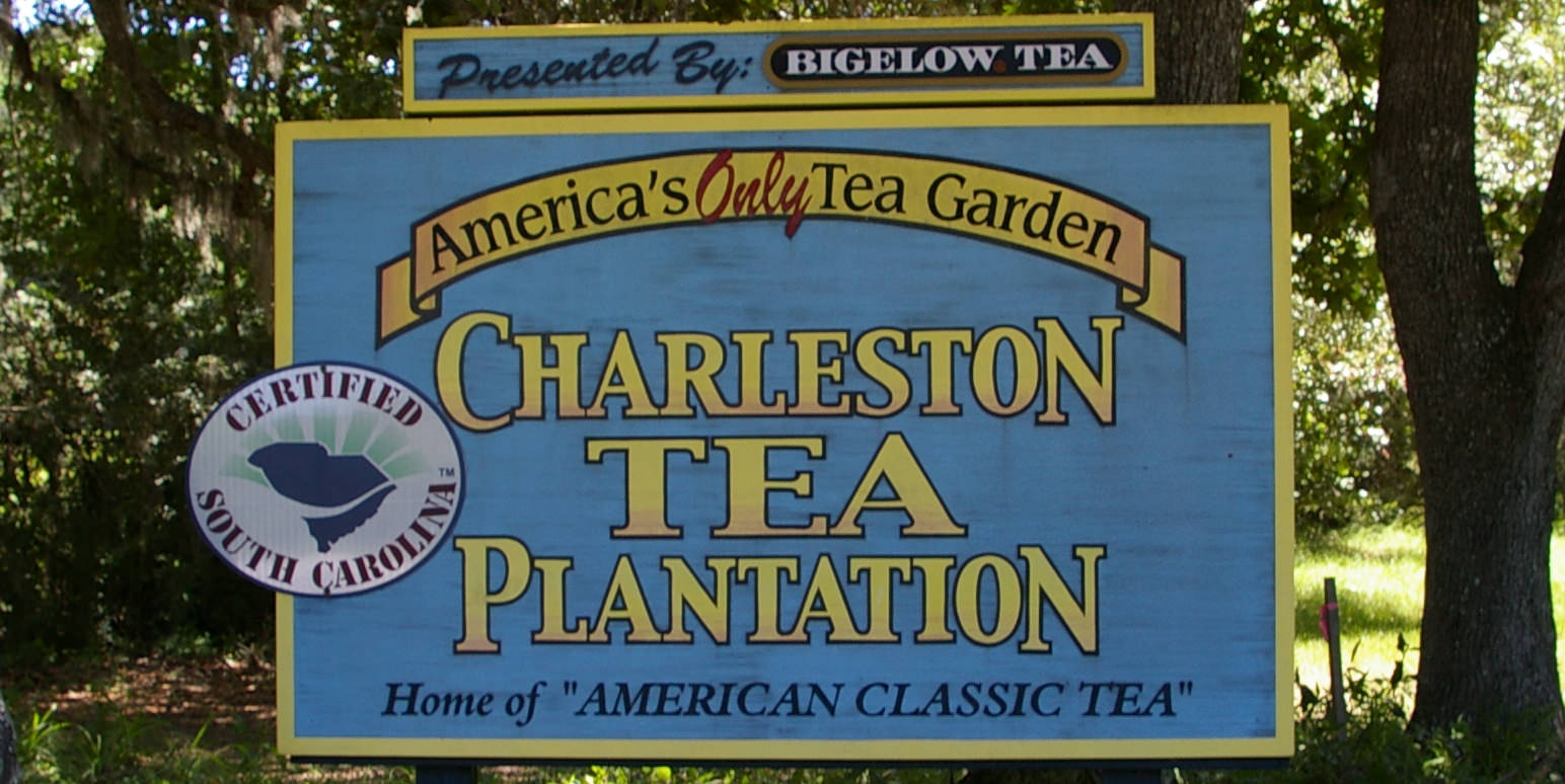 A look at the Charleston Tea Plantation